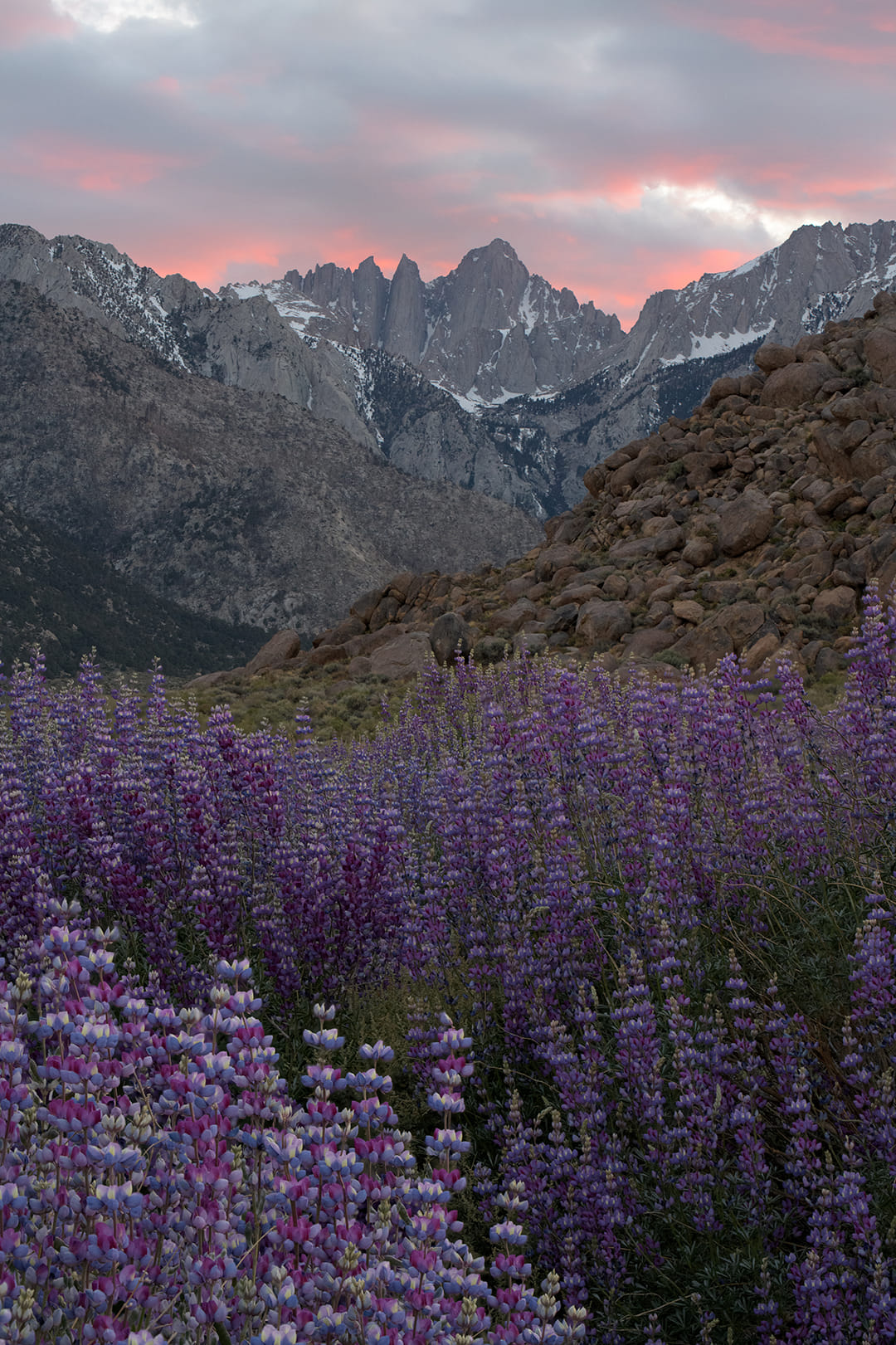 Mountain Landscape New 2