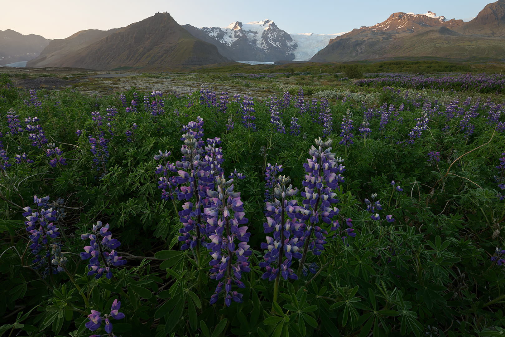 Mountain Landscape New 1