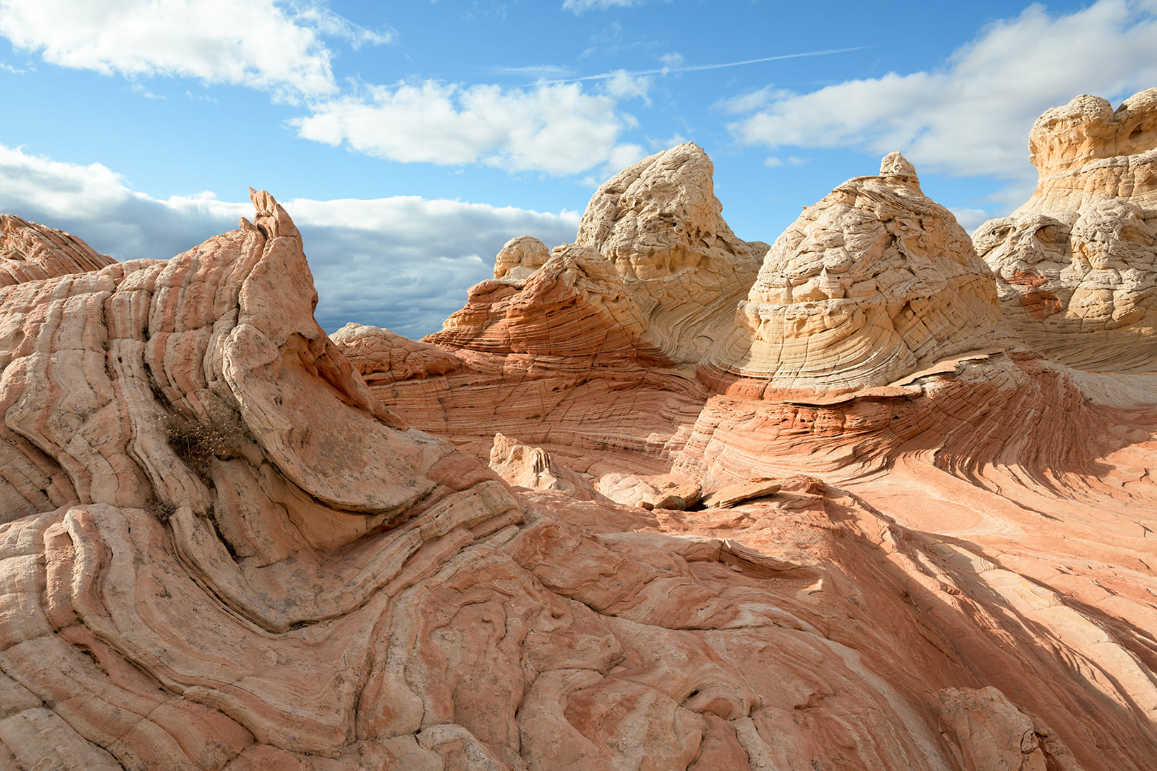 Desert Landscape New 1