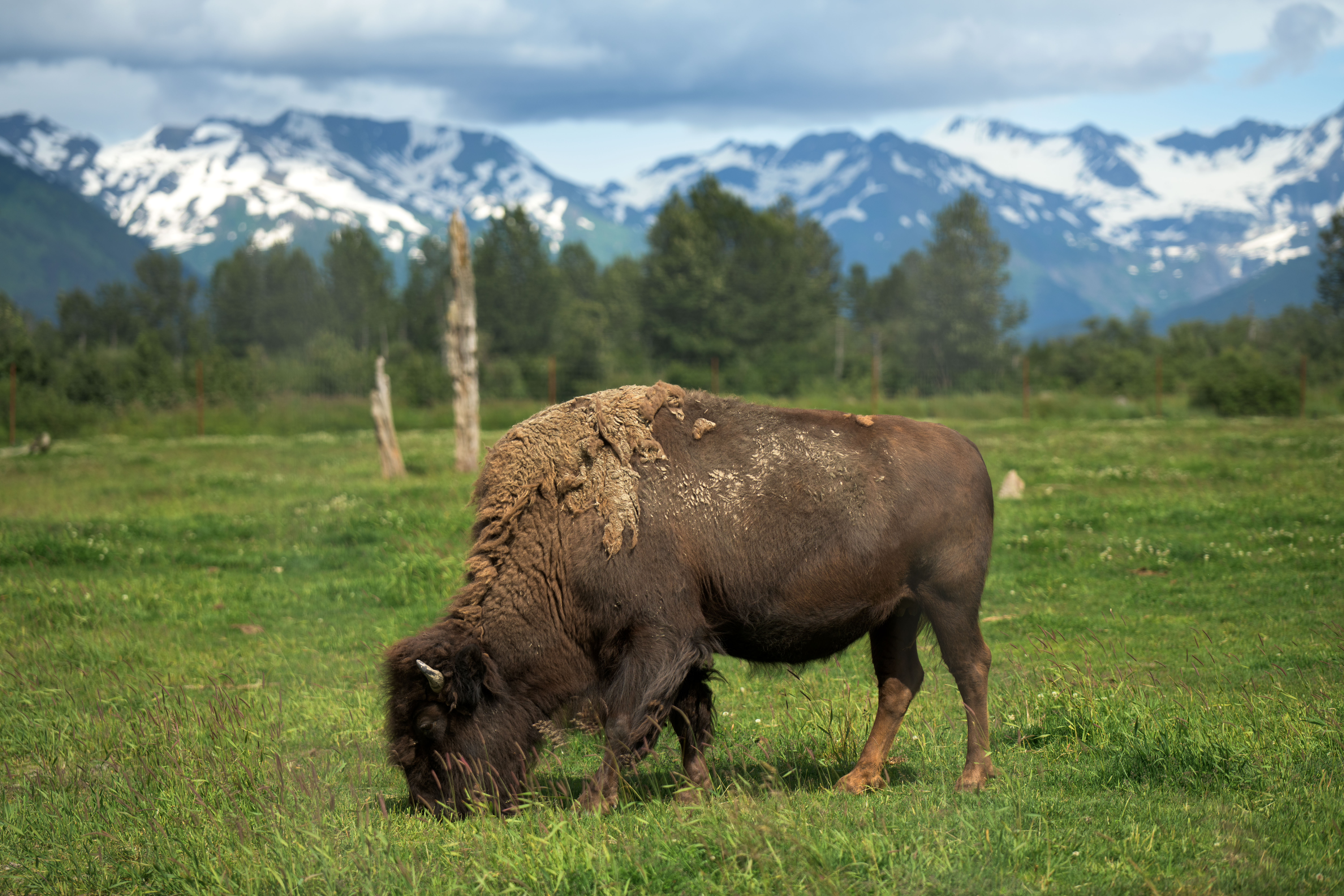 Mountain Landscape 5